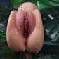 Handheld Silicone Masturbator – Orgasm Pro Step-sister - In Stock | EU Only