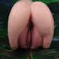 Handheld Silicone Masturbator – Orgasm Pro Step-sister - In Stock | EU Only