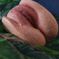 Handheld Silicone Masturbator – Orgasm Pro Step-sister - In Stock | EU Only