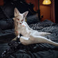160cm (5ft3") White Fox Full Silicone Furry Sex Doll – Sorelle