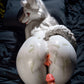 160cm (5ft3") White Fox Full Silicone Furry Sex Doll – Sorelle