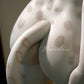155cm (5ft1") Furry Silicone Fantasy Sex Doll with Movable Jaw - Lyora
