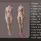 159cm (5ft3") Realistic Skin Texture Full Silicone Sex Doll - F-Cup – Alice FSD051