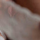 Erovenus Erovenus LoveNestle - Ultra-Soft Silicone Bubble Butt - Rosie - In Stock